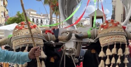 Traditionele Romeria de Coín - Finca La Toronja