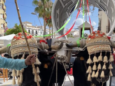 Traditionele Romeria de Coín - Finca La Toronja