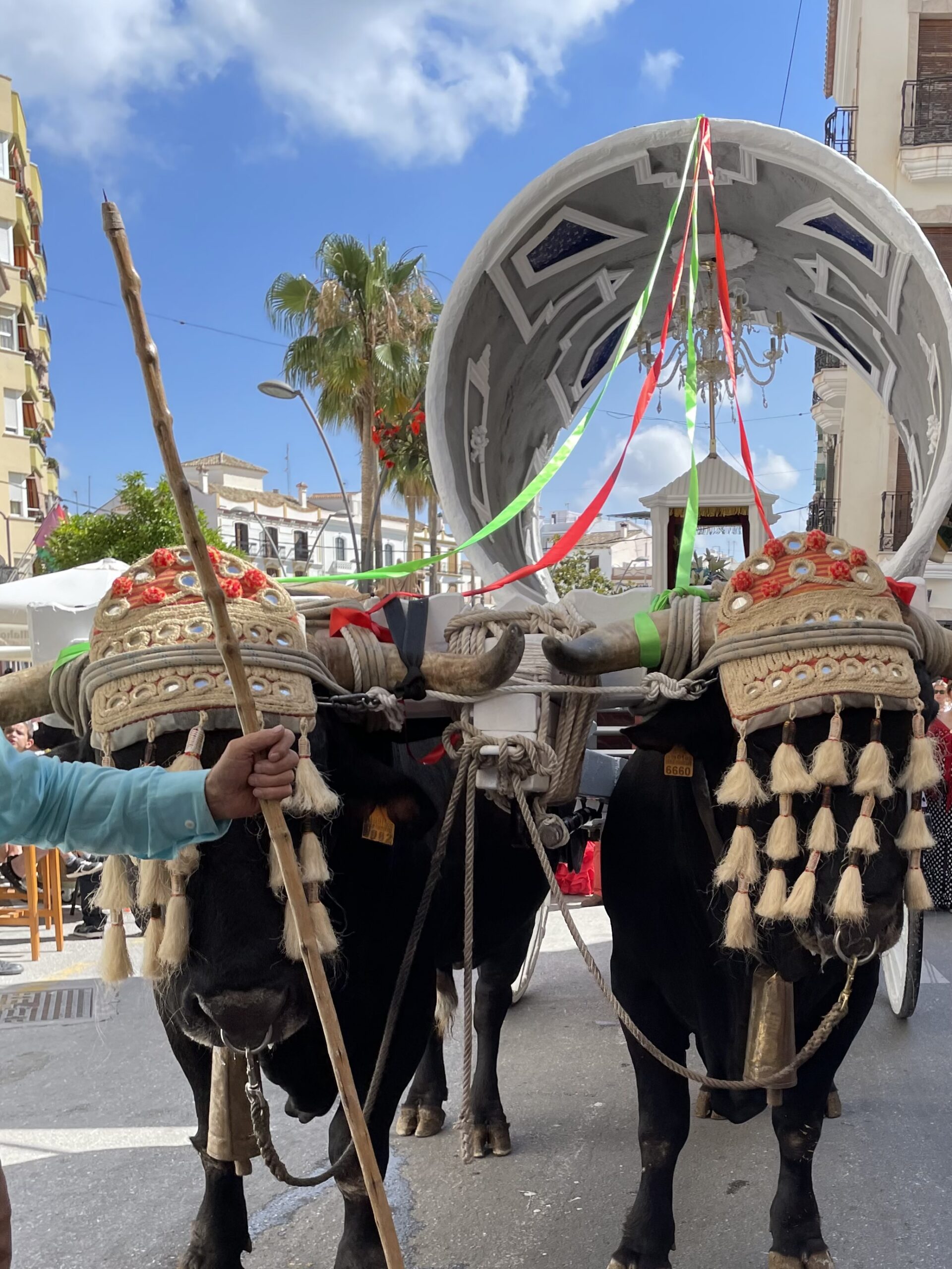 Traditionele Romeria de Coín - Finca La Toronja